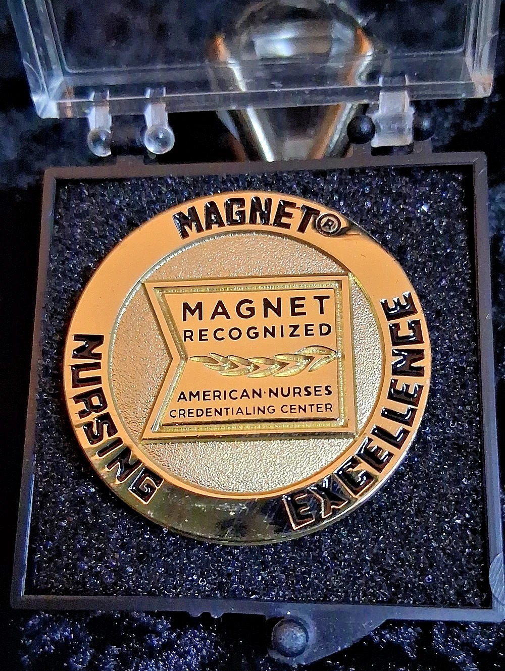ANCC Magnet Recognition Program Magnet Nursing Excellence Lapel Pin